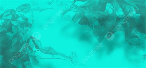 Plant Shadow Background With Color Wall Abstract Nature Background Image For Free Download