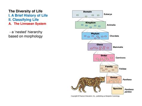 History And Diversity Of Life Ppt Download