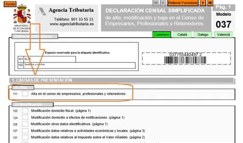 C Mo Darse De Alta En Hacienda Requisitos Y Modelo