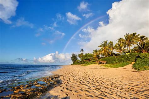 Mejores Playas En Oahu El Blog Del Viajero