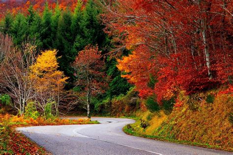 Fall Road Wallpapers Top Free Fall Road Backgrounds WallpaperAccess