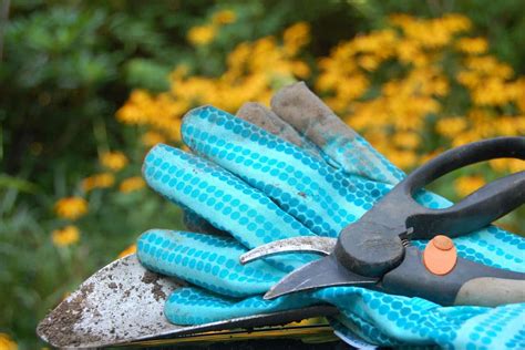 How To Sharpen Garden Shears: DIY Methods For Razor-Sharp Results