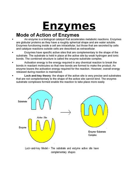 Enzymes - hndnjk zkzkjckkhu - Enzymes Mode of Action of Enzymes An