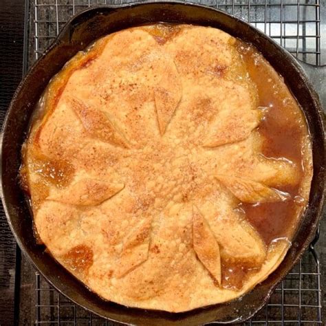 Double Crust Peach Cobbler Cook Savor Celebrate