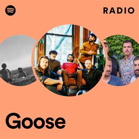 Goose Radio Playlist By Spotify Spotify