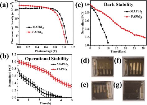 Stability Evaluation Comparison Between MAPbI 3 And FAPbI 3 Based Solar