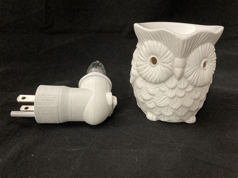 Scentsy Whoot Owl Mini Wall Plug In Wax Warmer No Box Ebay