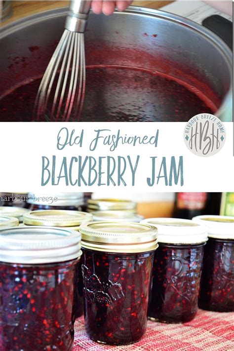 Easy Blackberry Jelly Canning Recipe Bryont Blog