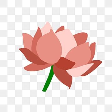 Hand Painted Lotus Png Vector Psd And Clipart With Transparent