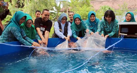 Pemberdayaan Budi Daya Ikan Nila Solusi Tingkatkan Kesejahteraan