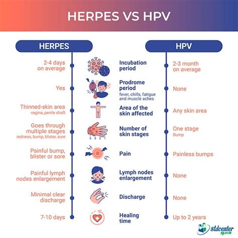 Herpes vs HPV | STD Center NY