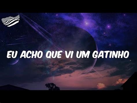 Eu Acho Que Vi Um Gatinho Letra Mc Bn Youtube