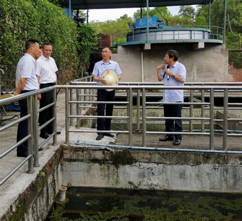 达州市人民政府水环境质量和污染防治市生态环境局调研大竹县苎麻产业发展