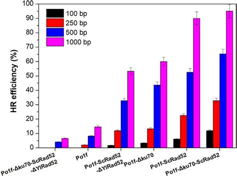 Homologous Recombination Efficiency Of Wild Type Y Lipolytica Po1f And