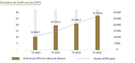 OPCI l AMMC publie un 1er rapport d activité