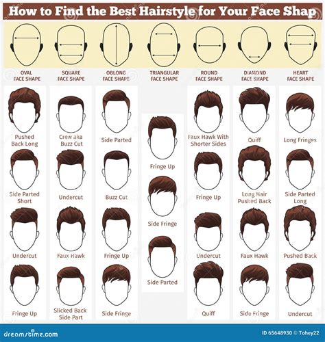 Different Faces and Haircuts Stock Vector - Illustration of people ...