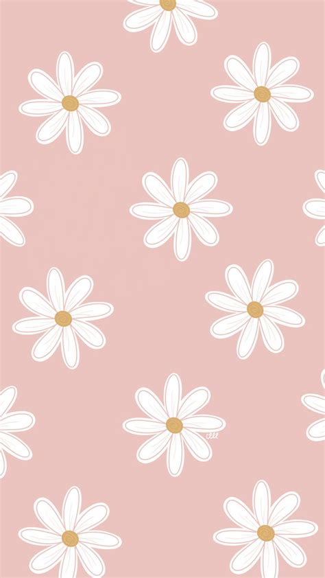 Daisy Pink Wallpaper Iphone Wallpaper Phone Wallpaper Cute Simple