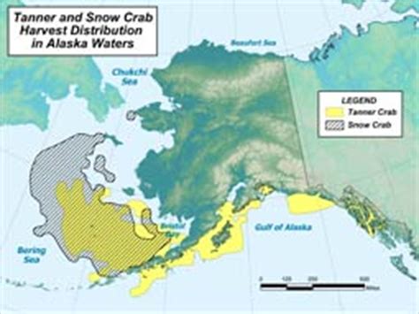 Tanner Crab Species Profile, Alaska Department of Fish and Game