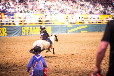 Snake River Stampede Returns To Nampa Boise State Public Radio