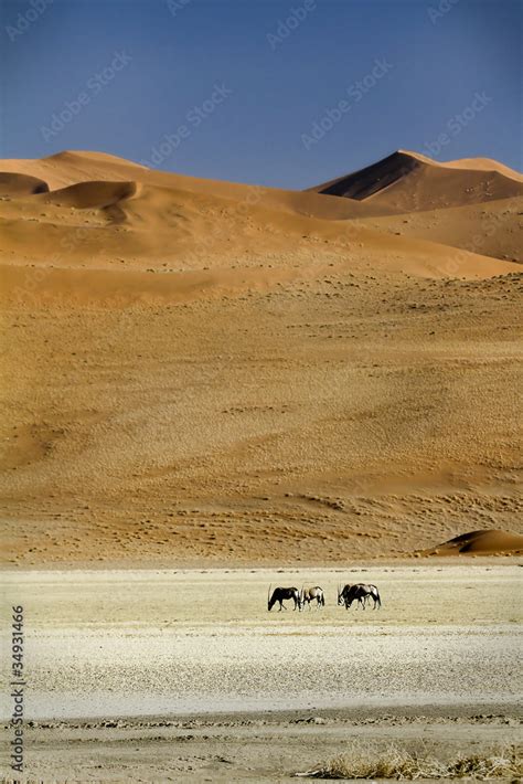 sossusvlei Stock Photo | Adobe Stock