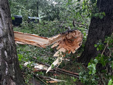 Tragické následky bouřek Větev zabila muže na Nymbursku na dva lidi v