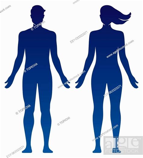 Man And Woman Body Silhouette Vector Illustration Stock Vector