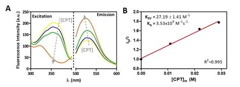 A Fluorescence Excitation Spectra Of Cpt Cpt T Of 0 To 4x10 5 M