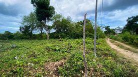 Residential Lot For Sale In Brgy Bingag Dauis Bohol Land For Sale