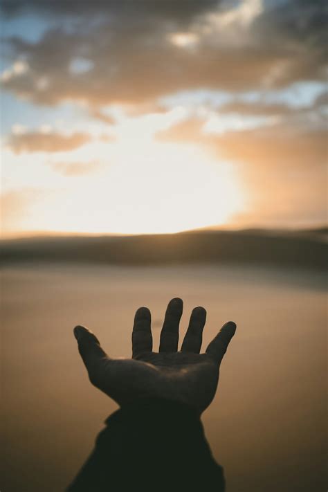 500 Helping Hand Pictures Hd Download Free Images On Unsplash