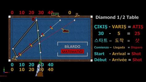 Diamond 12 Table New 3 Cushion Billiards System Techniques Bilardo