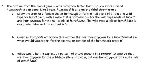 Solved The protein from the bicoid gene is a transcription | Chegg.com