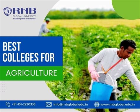 Best Colleges for Agriculture