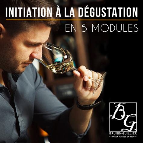 Initiation La D Gustation En Modules Mars Ecole Des Vins