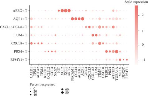 A Subpopulation Analysis Of T Cell Populations A Umap Analysis Of T