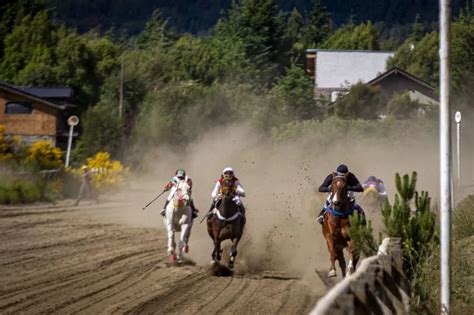 Tragedia en el Hipódromo de Bariloche una yegua murió tras sufrir un