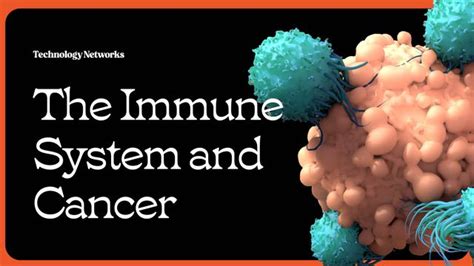 The Immune System and Cancer | Technology Networks