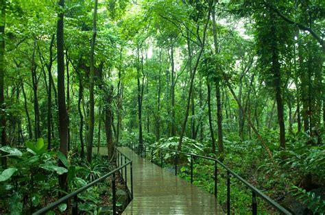 A Guide to the Botanical Gardens in Medellin - Casacol