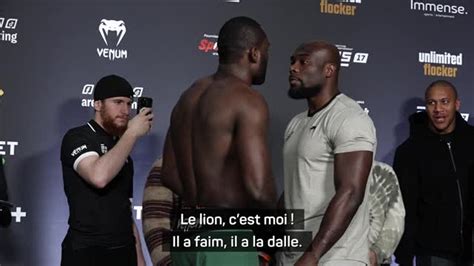 Ares Lessou C Est Un Lion Face Un Tigre Et Le Lion A Faim