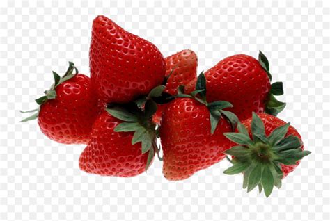 Strawberry Plant Png Strawberry Strawberries Fruit Strawberry