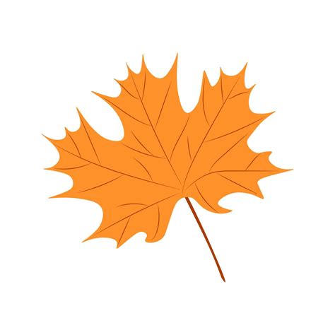 Maple leaves vector illustration. Autumn Fall leaves maple 11685272 ...