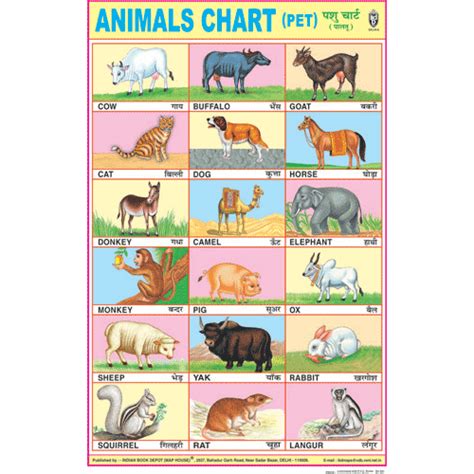 ANIMALS CHART (PET) CHART SIZE 50 X 75 CMS