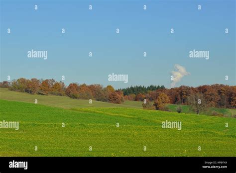 Autumn Fields And Forests Stock Photo Alamy