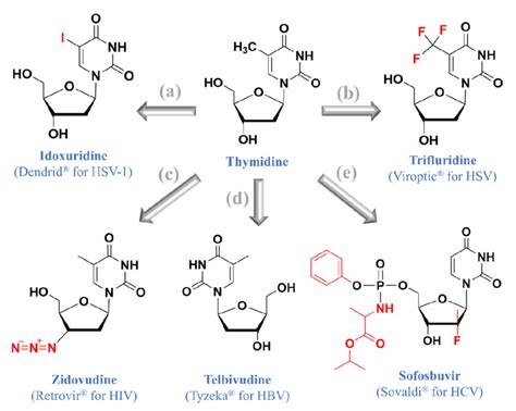 Thymidine And Five Approved Thymidine Nucleos T Ide Analogues A