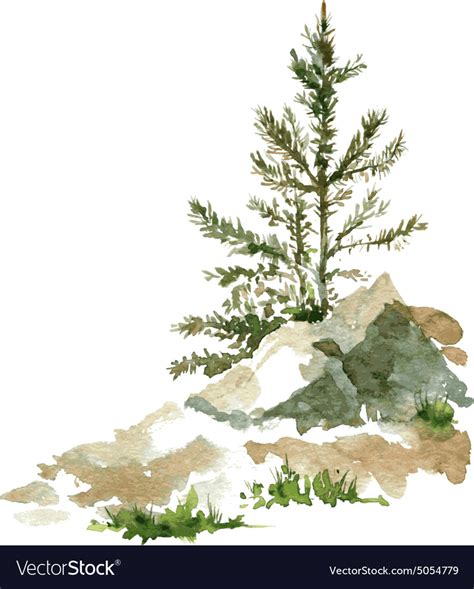 Pine Trees And Rocks Royalty Free Vector Image