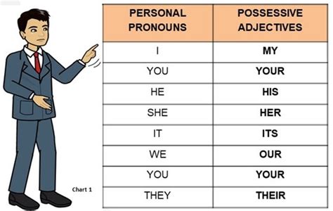 Possessive Adjectives Diagram Quizlet