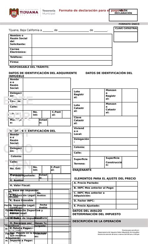 Formato Declaracion E Instructivo Editable Formato De Declaraci N