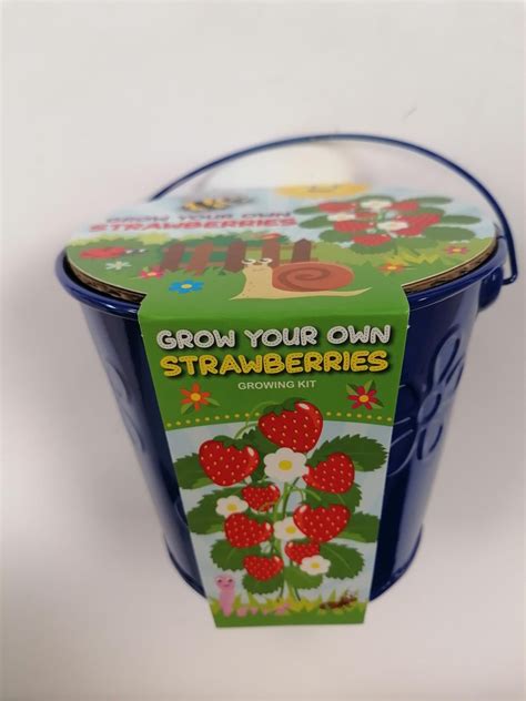 Taylors - Grow Your Own - Strawberries – JustSeed