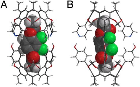 Encapsulated Guest Rotation In A Self Assembled Heterocapsule Directed Toward A Supramolecular