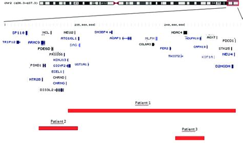 Chromosomal microarray testing results and the genome map around 2q37 ...