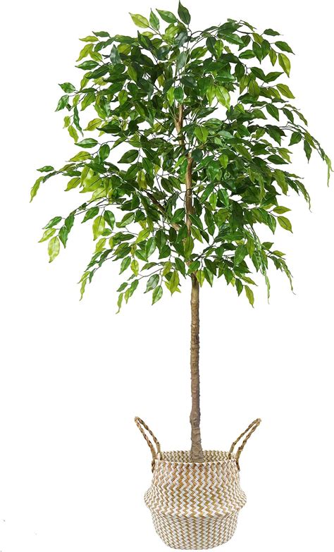 Amazon Warmplants Artificial Ficus Tree 6ft Tall Silk Fake Ficus